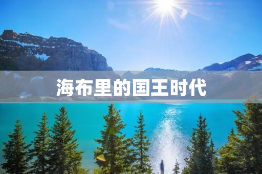 海布里的国王时代:权力与荣耀的辉煌岁月 海布里的国王时代:权力与荣耀的辉煌岁月