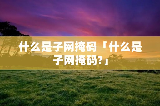 什么是子网掩码「什么是子网掩码?」