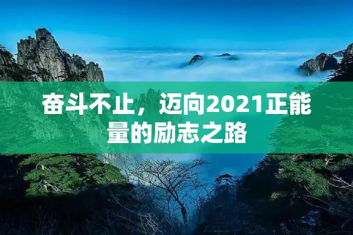 奋斗不止，迈向2021正能量的励志之路
