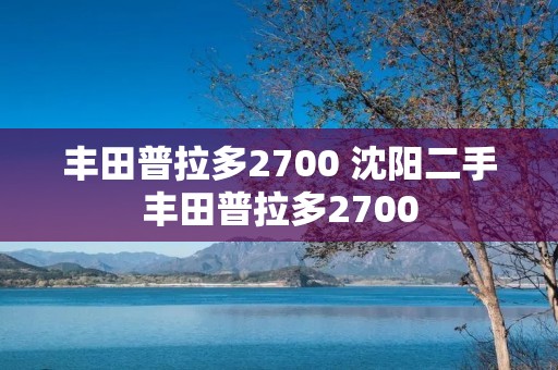 丰田普拉多2700 沈阳二手丰田普拉多2700