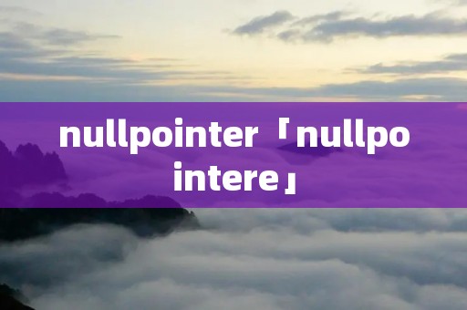 nullpointer「nullpointere」 nullpointer「nullpointere」