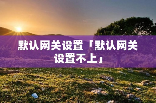 默认网关设置「默认网关设置不上」