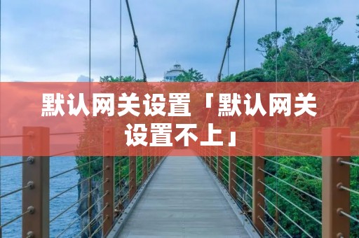 默认网关设置「默认网关设置不上」