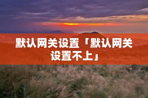 默认网关设置「默认网关设置不上」