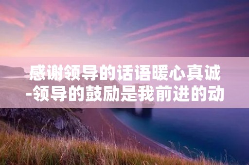 感谢领导的话语暖心真诚-领导的鼓励是我前进的动力
