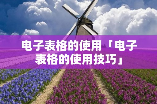 电子表格的使用「电子表格的使用技巧」 电子表格的使用「电子表格的使用技巧」