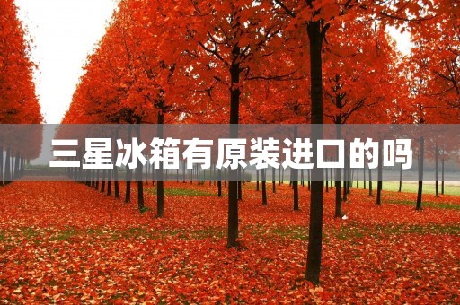 三星冰箱有原装进口的吗 三星冰箱有原装进口的吗