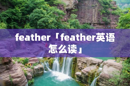 feather「feather英语怎么读」