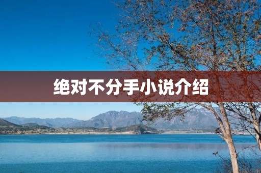 绝对不分手小说介绍