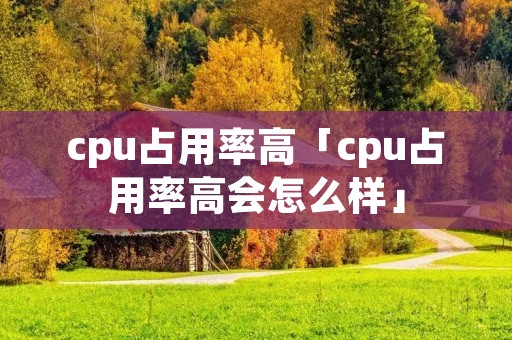 cpu占用率高「cpu占用率高会怎么样」