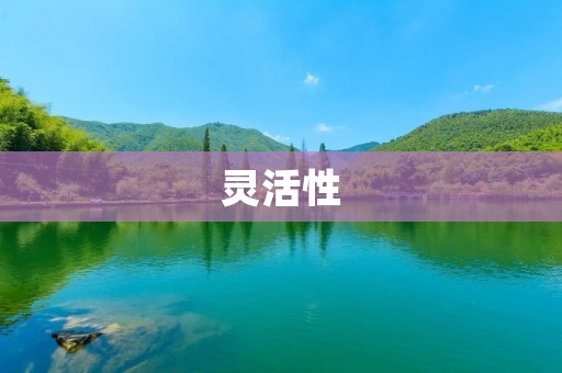 灵活性:在生活和工作中的重要性及如何培养 灵活性:在生活和工作中的重要性及如何培养