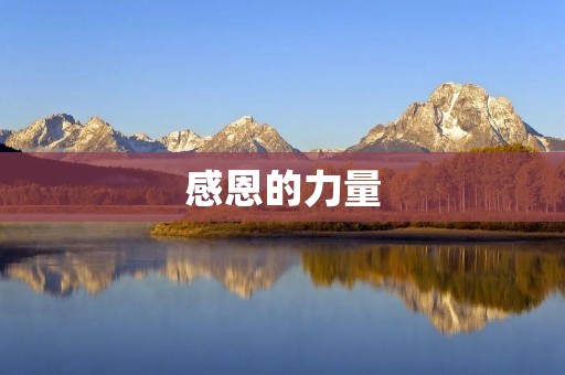 感恩的力量:名人故事中的温情瞬间 感恩的力量:名人故事中的温情瞬间