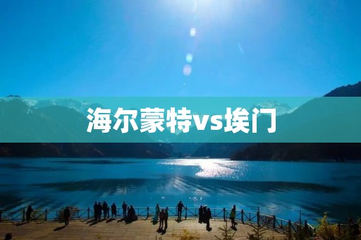 海尔蒙特vs埃门:两大品牌的对决 海尔蒙特vs埃门:两大品牌的对决