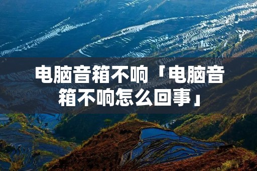 电脑音箱不响「电脑音箱不响怎么回事」 电脑音箱不响「电脑音箱不响怎么回事」