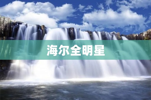 海尔全明星：打造家电行业的领军品牌