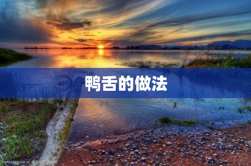 鸭舌的做法:美味佳肴尽在指间 鸭舌的做法:美味佳肴尽在指间