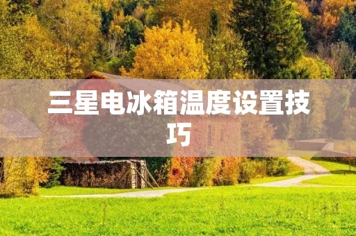 三星电冰箱温度设置技巧:如何调节冰箱温度保持食物新鲜 三星电冰箱温度设置技巧:如何调节冰箱温度保持食物新鲜