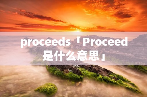 proceeds「Proceed是什么意思」