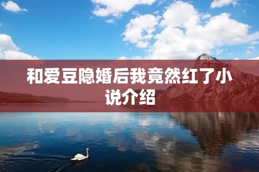 和爱豆隐婚后我竟然红了小说介绍