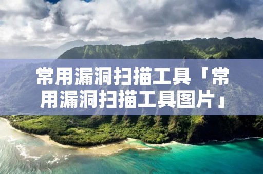 常用漏洞扫描工具「常用漏洞扫描工具图片」 常用漏洞扫描工具「常用漏洞扫描工具图片」