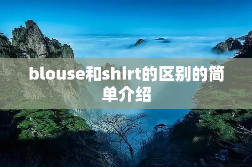 blouse和shirt的区别的简单介绍