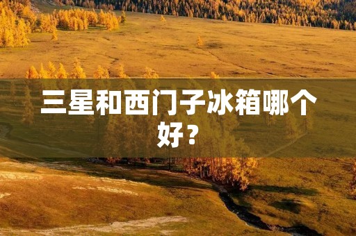 三星和西门子冰箱哪个好？