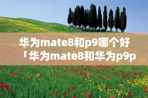 华为mate8和p9哪个好「华为mate8和华为p9plus哪个好」 华为mate8和p9哪个好「华为mate8和华为p9plus哪个好」