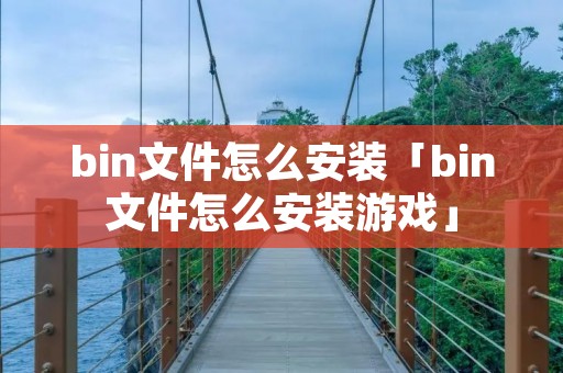 bin文件怎么安装「bin文件怎么安装游戏」
