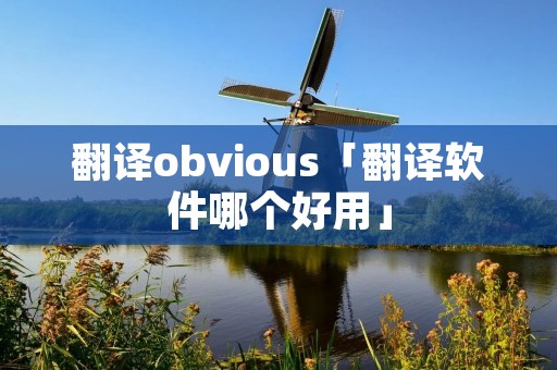 翻译obvious「翻译软件哪个好用」