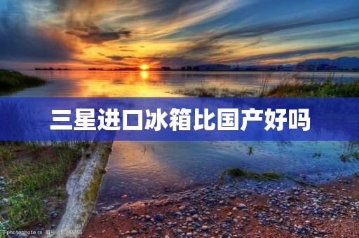 三星进口冰箱比国产好吗 三星进口冰箱比国产好吗