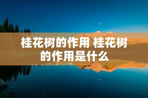 桂花树的作用 桂花树的作用是什么