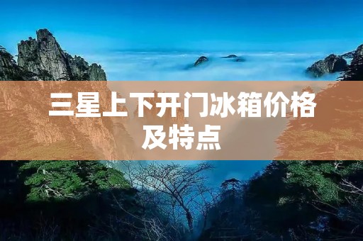 三星上下开门冰箱价格及特点
