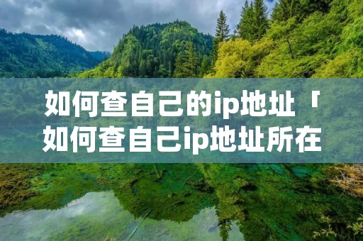 如何查自己的ip地址「如何查自己ip地址所在地」 如何查自己的ip地址「如何查自己ip地址所在地」