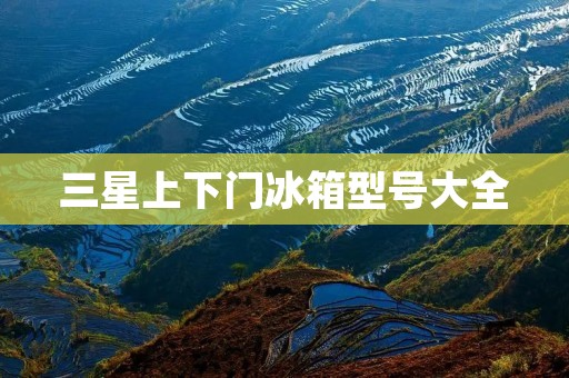 三星上下门冰箱型号大全:了解你的选择 三星上下门冰箱型号大全:了解你的选择