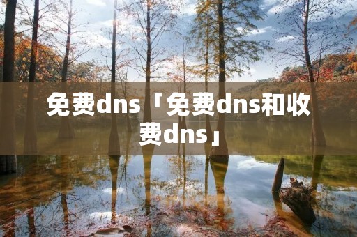 免费dns「免费dns和收费dns」 免费dns「免费dns和收费dns」