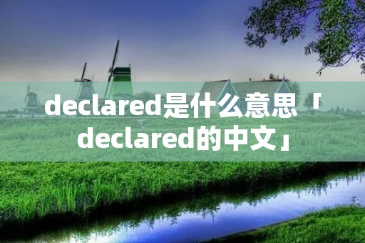 declared是什么意思「declared的中文」