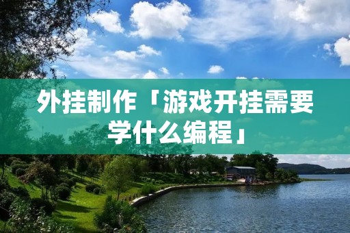 外挂制作「游戏开挂需要学什么编程」 外挂制作「游戏开挂需要学什么编程」