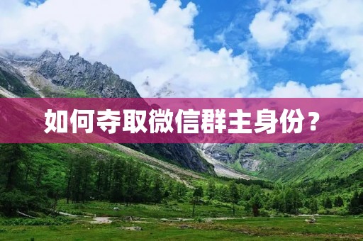 如何夺取微信群主身份？