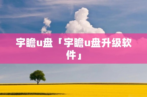 宇瞻u盘「宇瞻u盘升级软件」