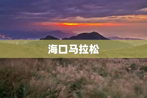 海口马拉松：一场热血激荡的盛典