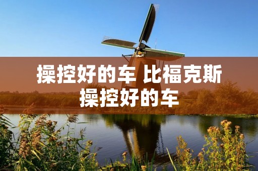 操控好的车 比福克斯操控好的车