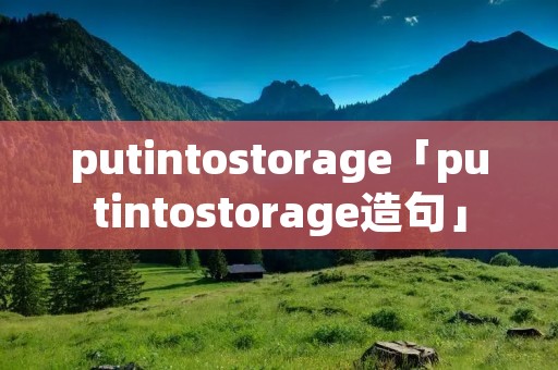 putintostorage「putintostorage造句」