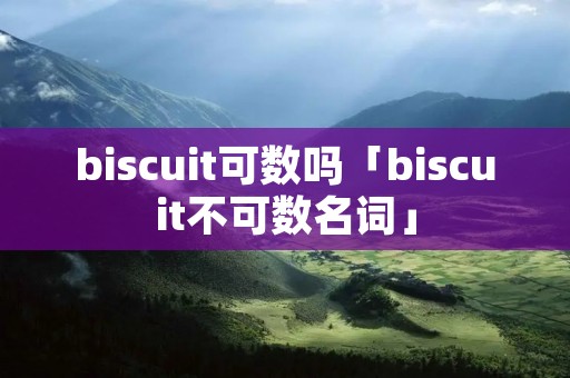 biscuit可数吗「biscuit不可数名词」
