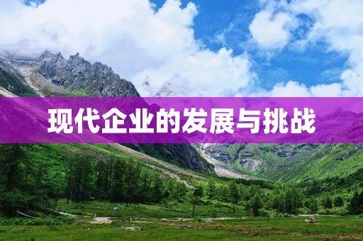现代企业的发展与挑战：探索多元化经营模式