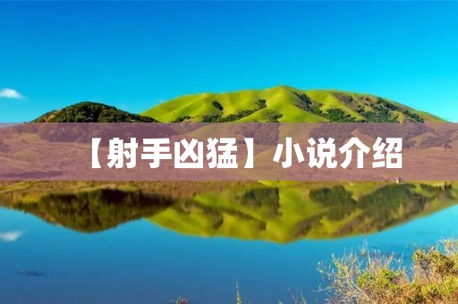 【射手凶猛】小说介绍