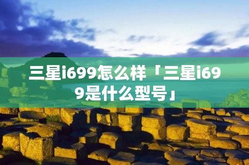 三星i699怎么样「三星i699是什么型号」