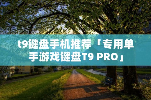 t9键盘手机推荐「专用单手游戏键盘T9 PRO」 t9键盘手机推荐「专用单手游戏键盘T9 PRO」