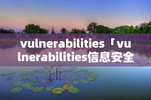 vulnerabilities「vulnerabilities信息安全」