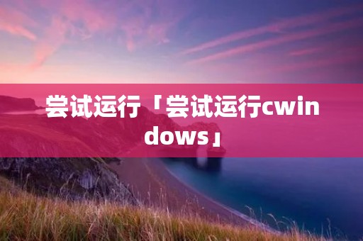 尝试运行「尝试运行cwindows」