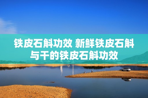 铁皮石斛功效 新鲜铁皮石斛与干的铁皮石斛功效